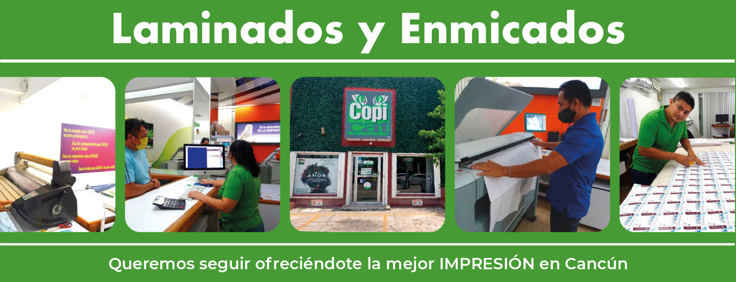 Laminados y Enmicados (1)