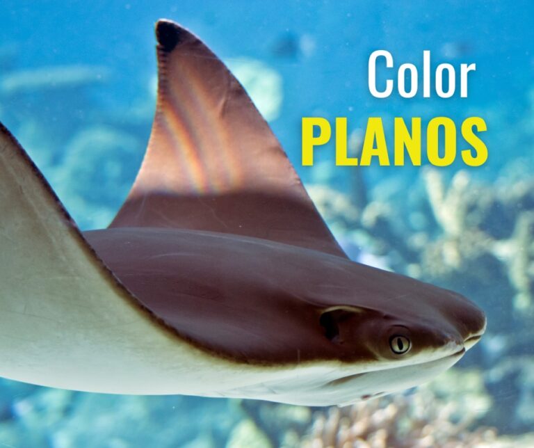 WhatsApp Image 2025-03-28 at 11.44.52